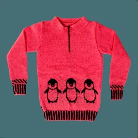 Graceful Handmade Full Sleeve Sweater Design For Baby Boy (7-9 Year)